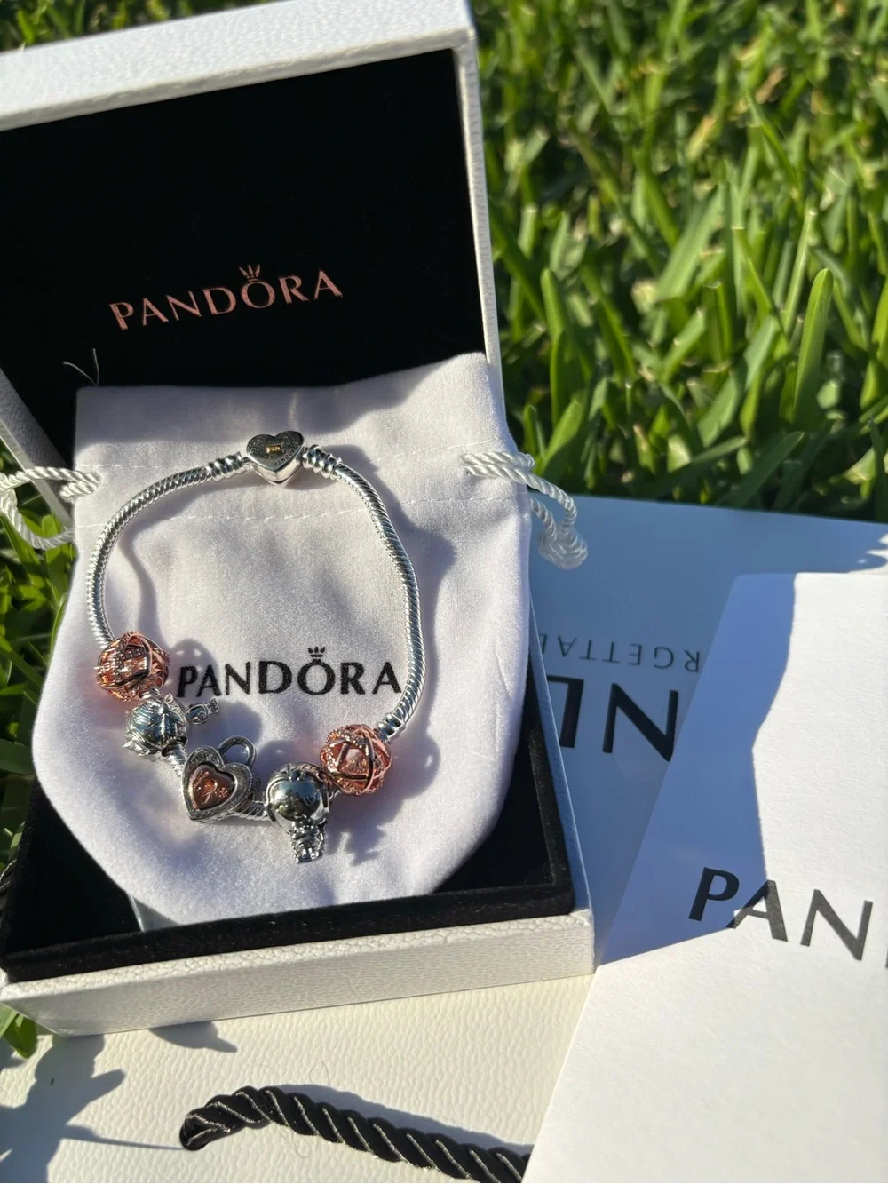 Pandora Two-Tone Heart & Rose Charm Bracelet in Pink and Silver - Picture 1 of 9